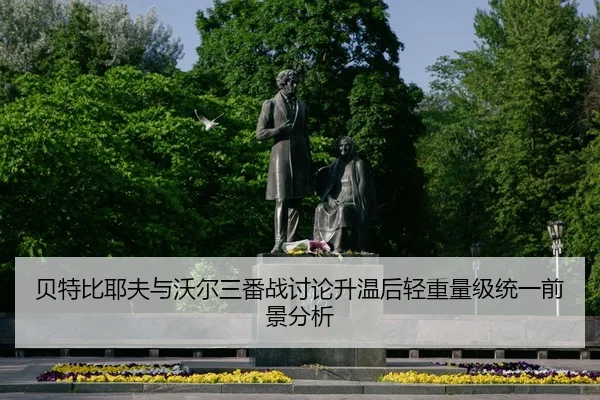 bei-te-bi-ye-fu-yu-wo-er-san-fan-zhan-tao-lun-sheng-wen-hou-qing-zhong-liang-ji-tong-yi-qian-jing-fen-xi-1-719.jpg