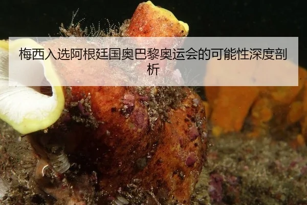 梅西入选阿根廷国奥巴黎奥运会的可能性深度剖析