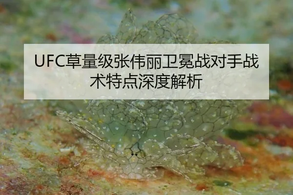 UFC草量级张伟丽卫冕战对手战术特点深度解析