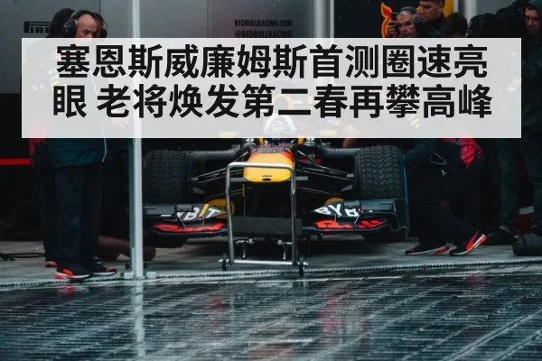 Formula 1 pit stop