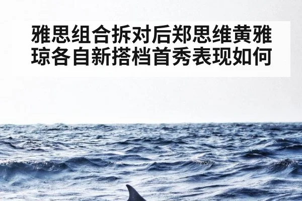 雅思组合拆对后郑思维黄雅琼各自新搭档首秀表现如何